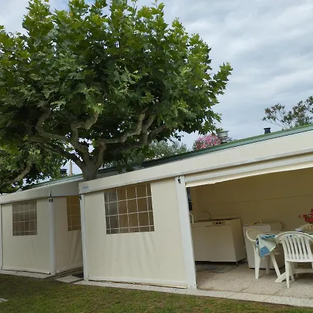 Mayer Каваллино