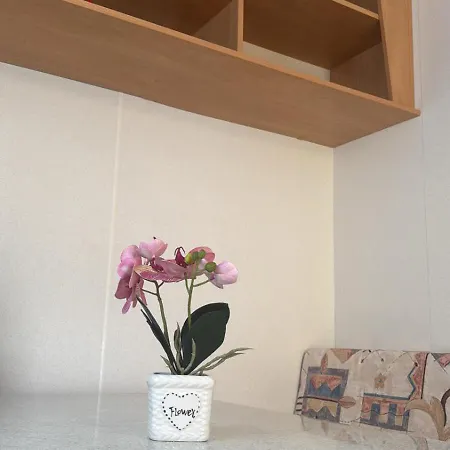 キャンプ場 Mayer *